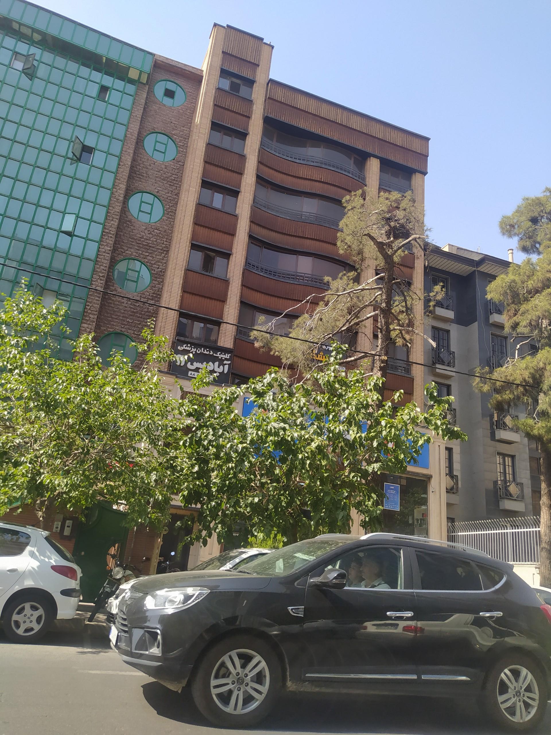 عکس رادیولوژی و سونو گرافی پیشگام