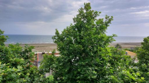 عکس هتل آپارتمان ملل