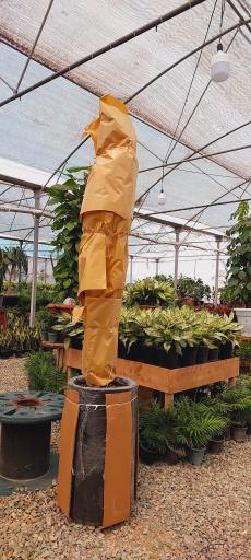 عکس گلخانه وستا