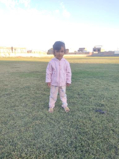 عکس چمن فوتبال پیرانشهر