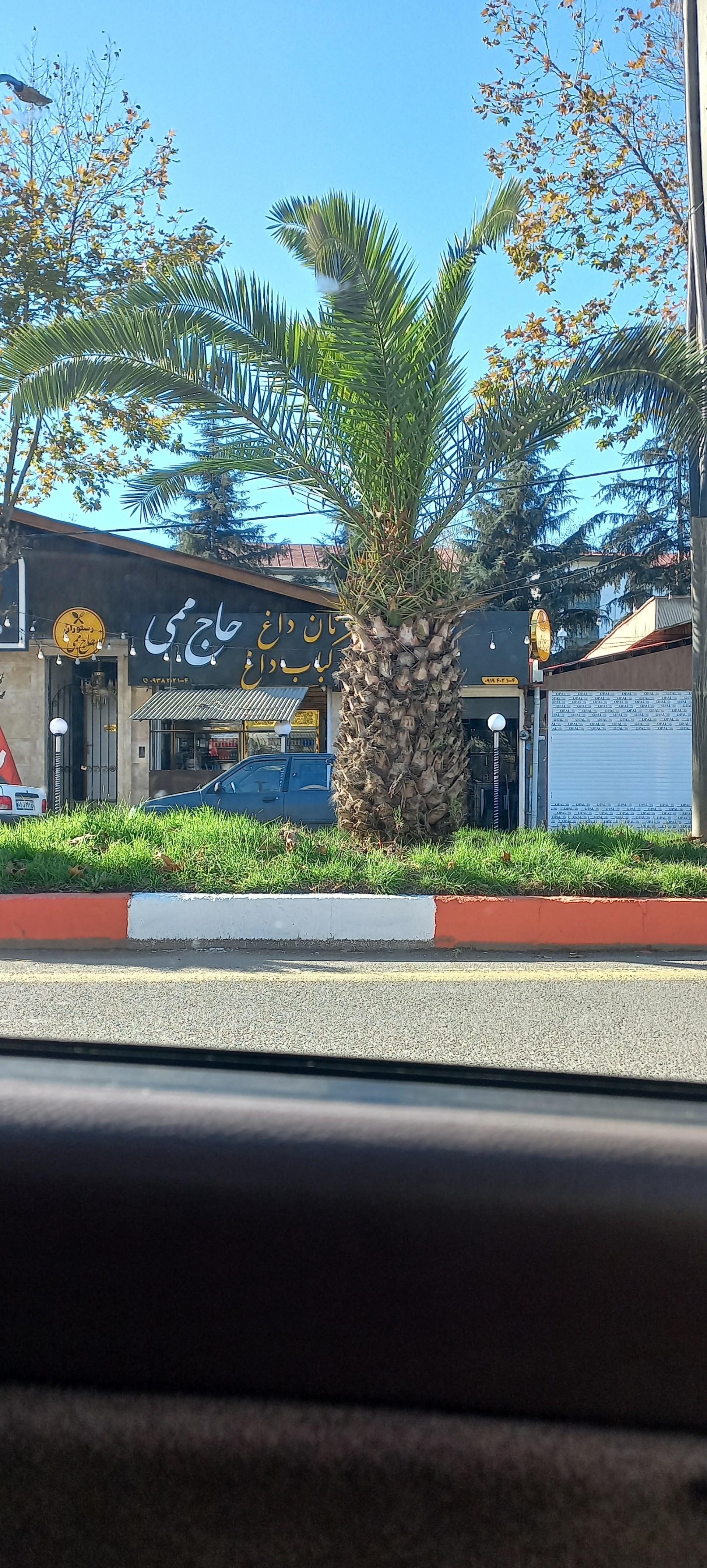 عکس کبابی حاجی‌ممی