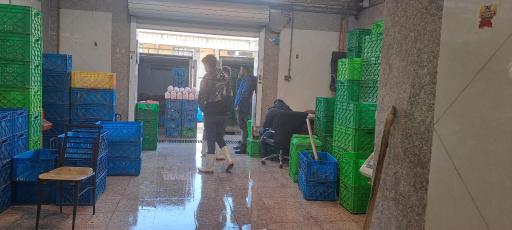 عکس دیلی چیکن