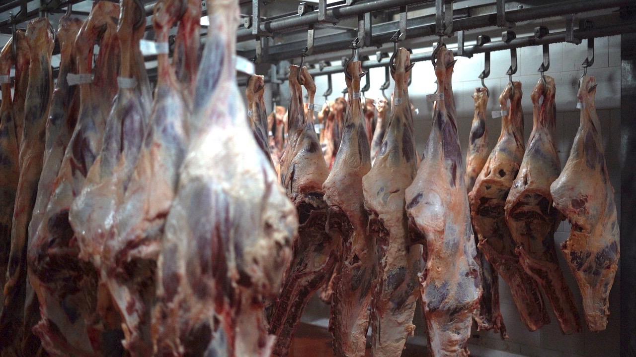 عکس بسته بندی گوشت باستانی