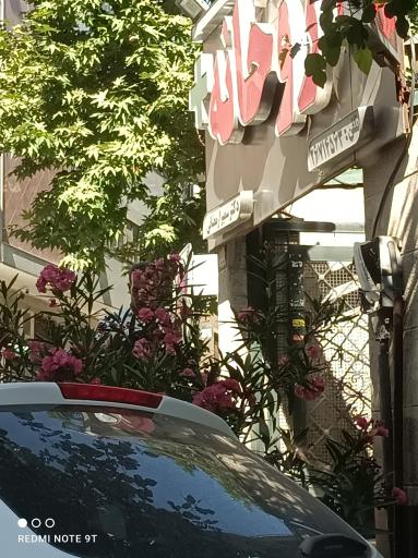 عکس داروخانه سمیرا رمضانی 