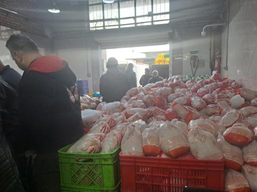 عکس دیلی چیکن