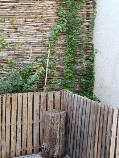 عکس کافه کتاب میراث