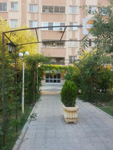 عکس ارغوان ۲۳ شرقی