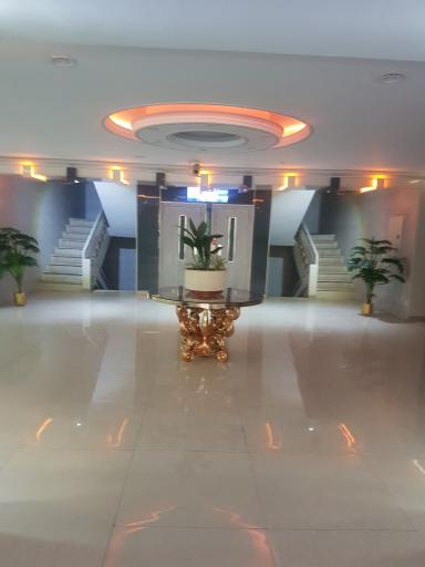 عکس ارغوان ۲۳ شرقی