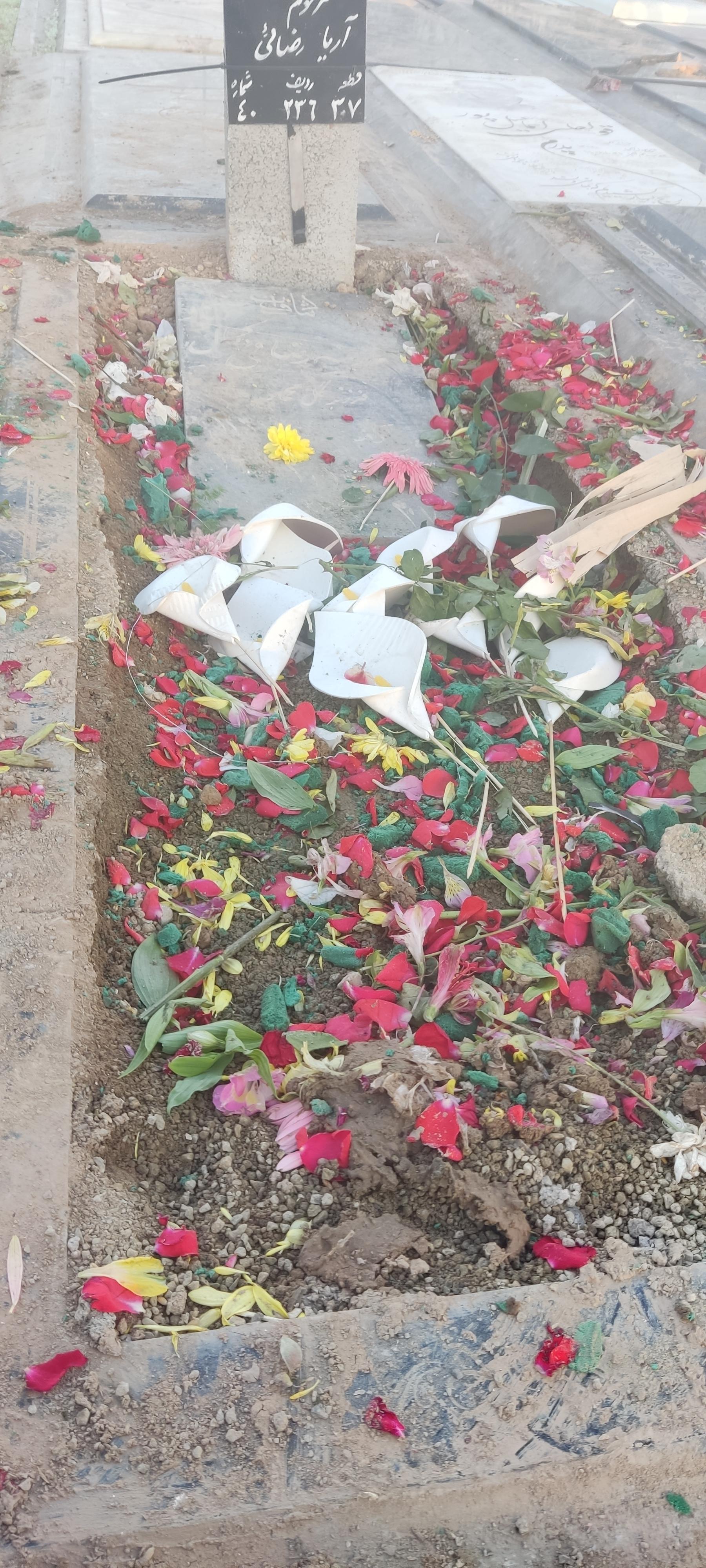 عکس مزار آقای آریا رضایی