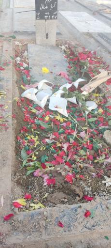 عکس مزار آقای آریا رضایی