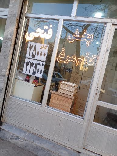 عکس پخش تخم مرغ فتحی