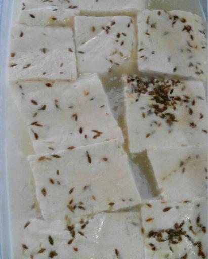 عکس لبنیاتی و پلاستیک فروشی رضایی