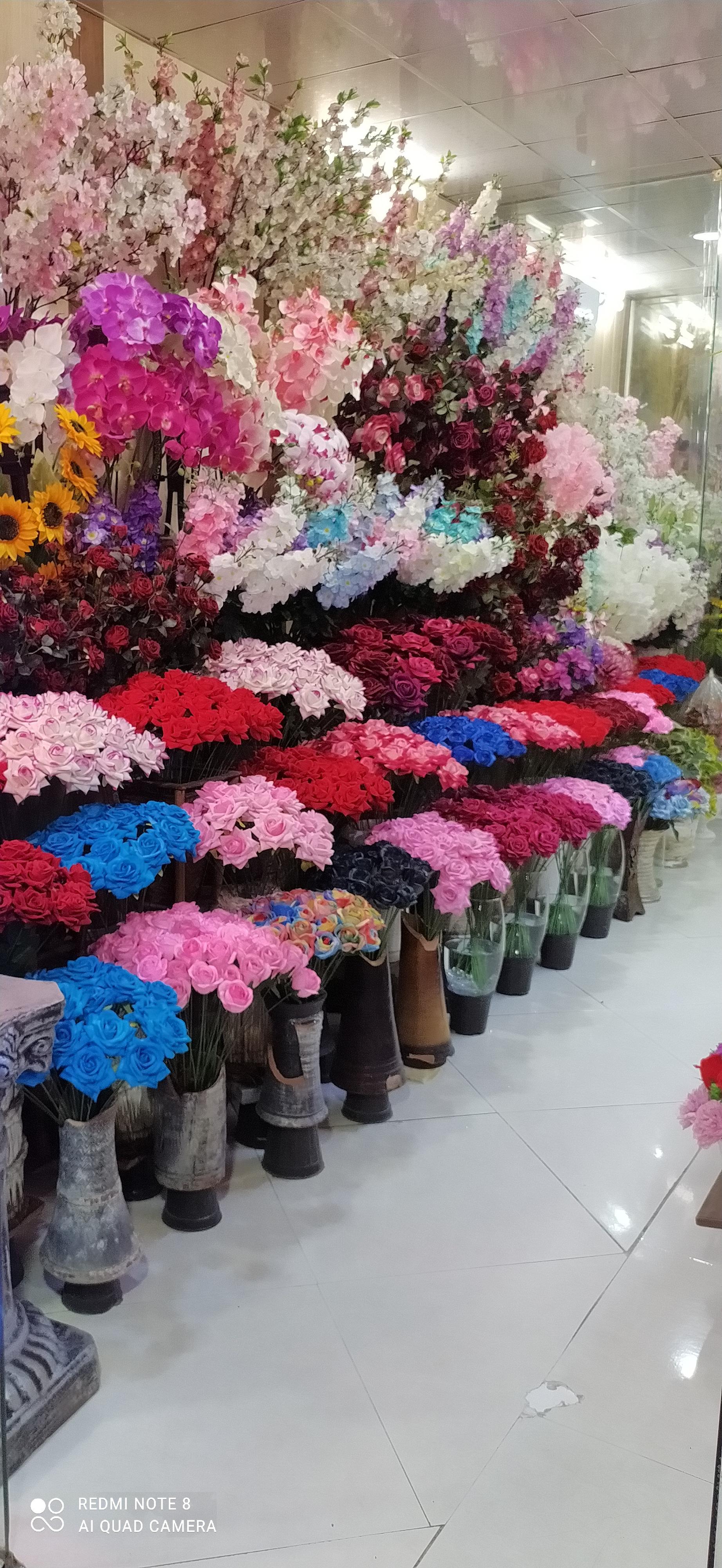 عکس گل اقاقیا