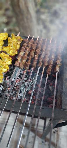 عکس کبابی یگانه 