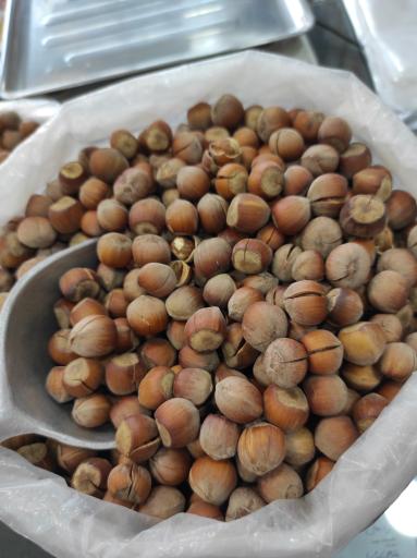 آجیل و خشکبار شیخ حسینی