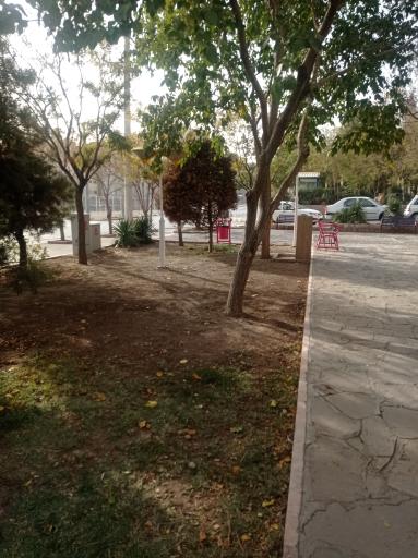 عکس بوستان خطی سرو