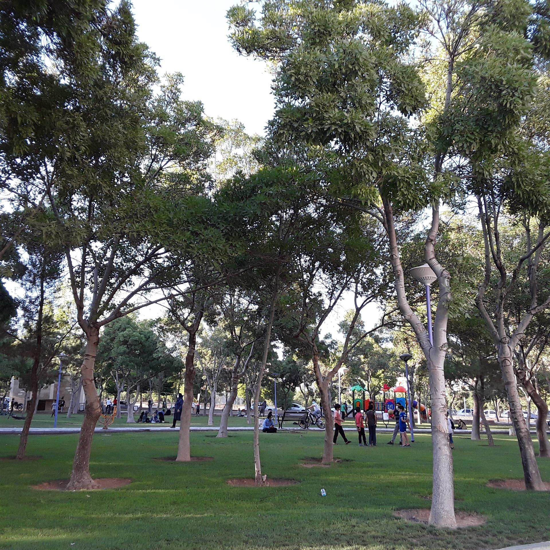 عکس پارک جانبازان