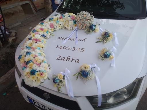 عکس گلسرای گندم 