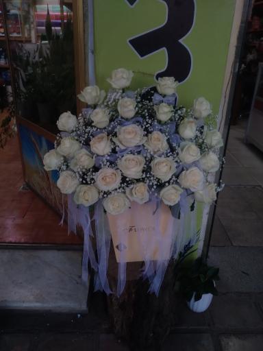 عکس گلسرای گندم 