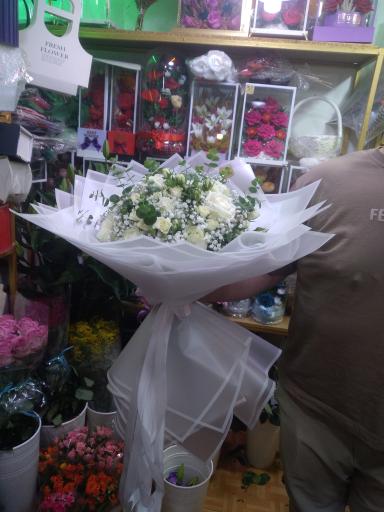 گلسرای گندم 