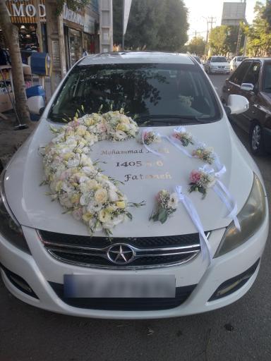عکس گلسرای گندم 