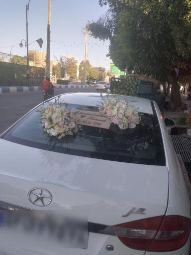 عکس گلسرای گندم 