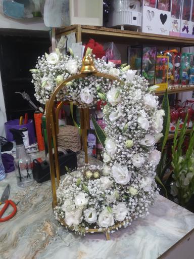 عکس گلسرای گندم 