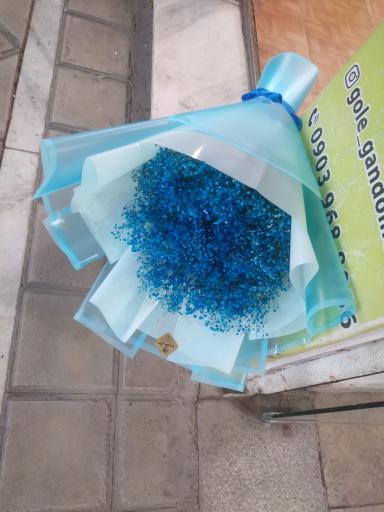 عکس گلسرای گندم 
