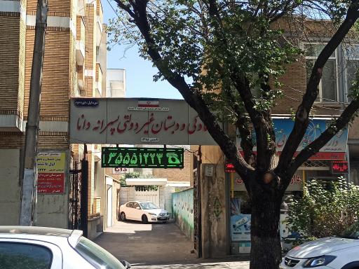 آمادگی و دبستان غیردولتی پسرانه دانا