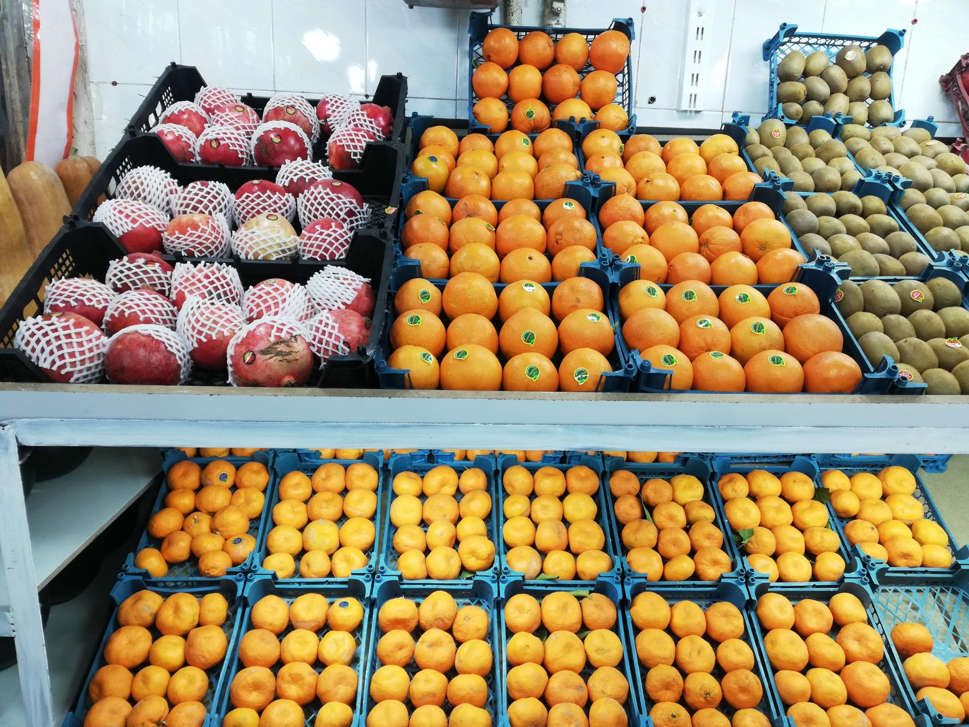 عکس میوه سرای ملاصدرا