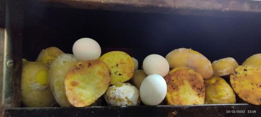 عکس کافه سیب زمینی