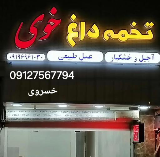 عکس تخمه داغ خوی