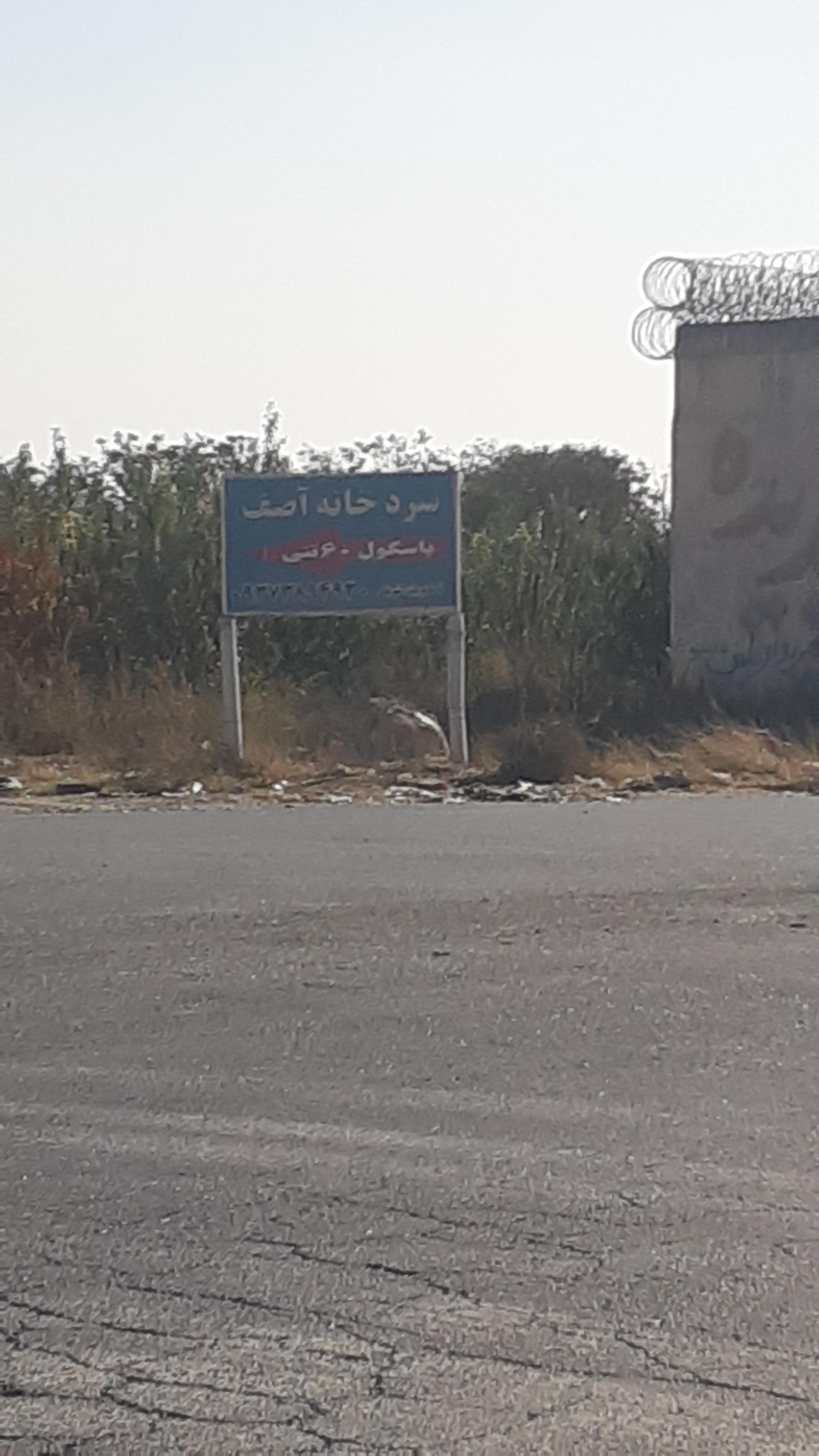 عکس سردخانه آصف