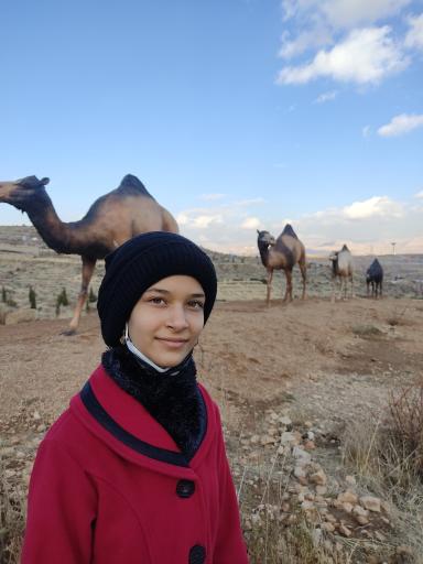 عکس بوستان کوهستانی دراک شیراز