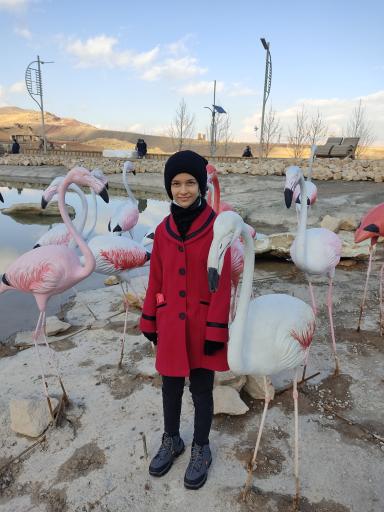 عکس بوستان کوهستانی دراک شیراز