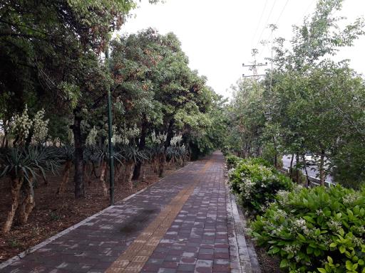 عکس بوستان خطی نارنجستان