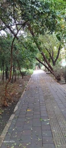 عکس بوستان خطی نارنجستان