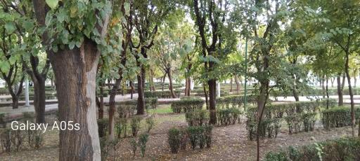 عکس بوستان خطی نارنجستان