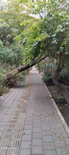 عکس بوستان خطی نارنجستان