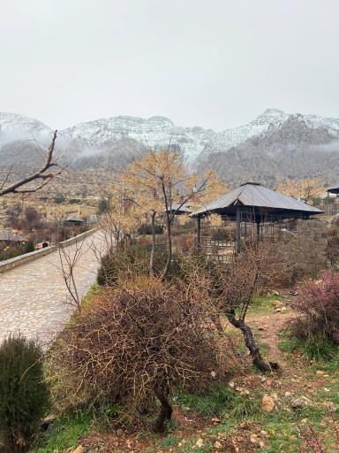 عکس بوستان کوهستانی دراک شیراز