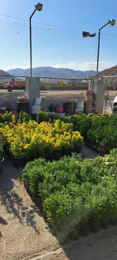 عکس گلخانه افق