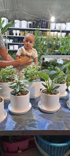 عکس گلخانه افق