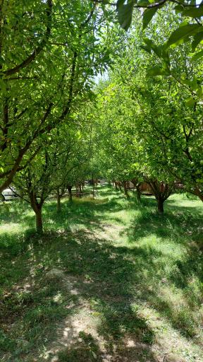 عکس بوستان تفریحی نم رود