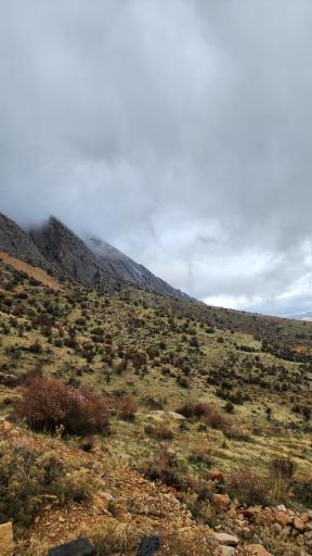 عکس بوستان کوهستانی دراک شیراز