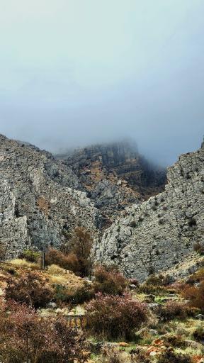 عکس بوستان کوهستانی دراک شیراز