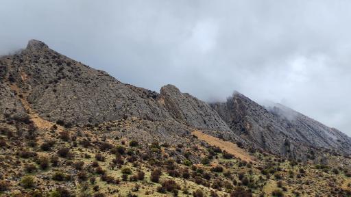 عکس بوستان کوهستانی دراک شیراز