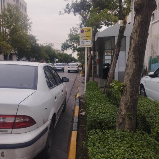 عکس  میدان تختی