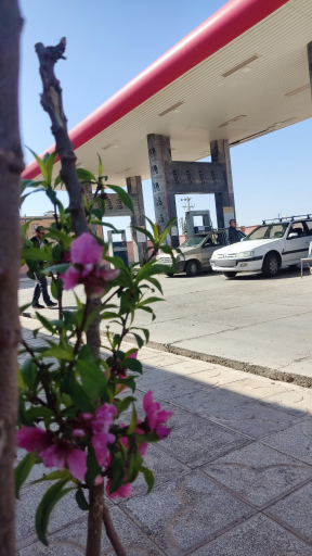 عکس پمپ گاز CNG توکل