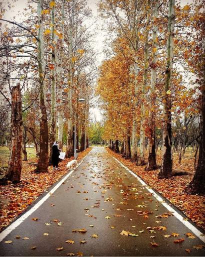 بوستان خانواده