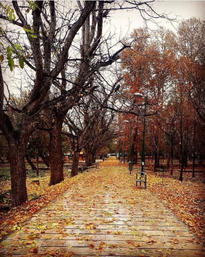 بوستان خانواده